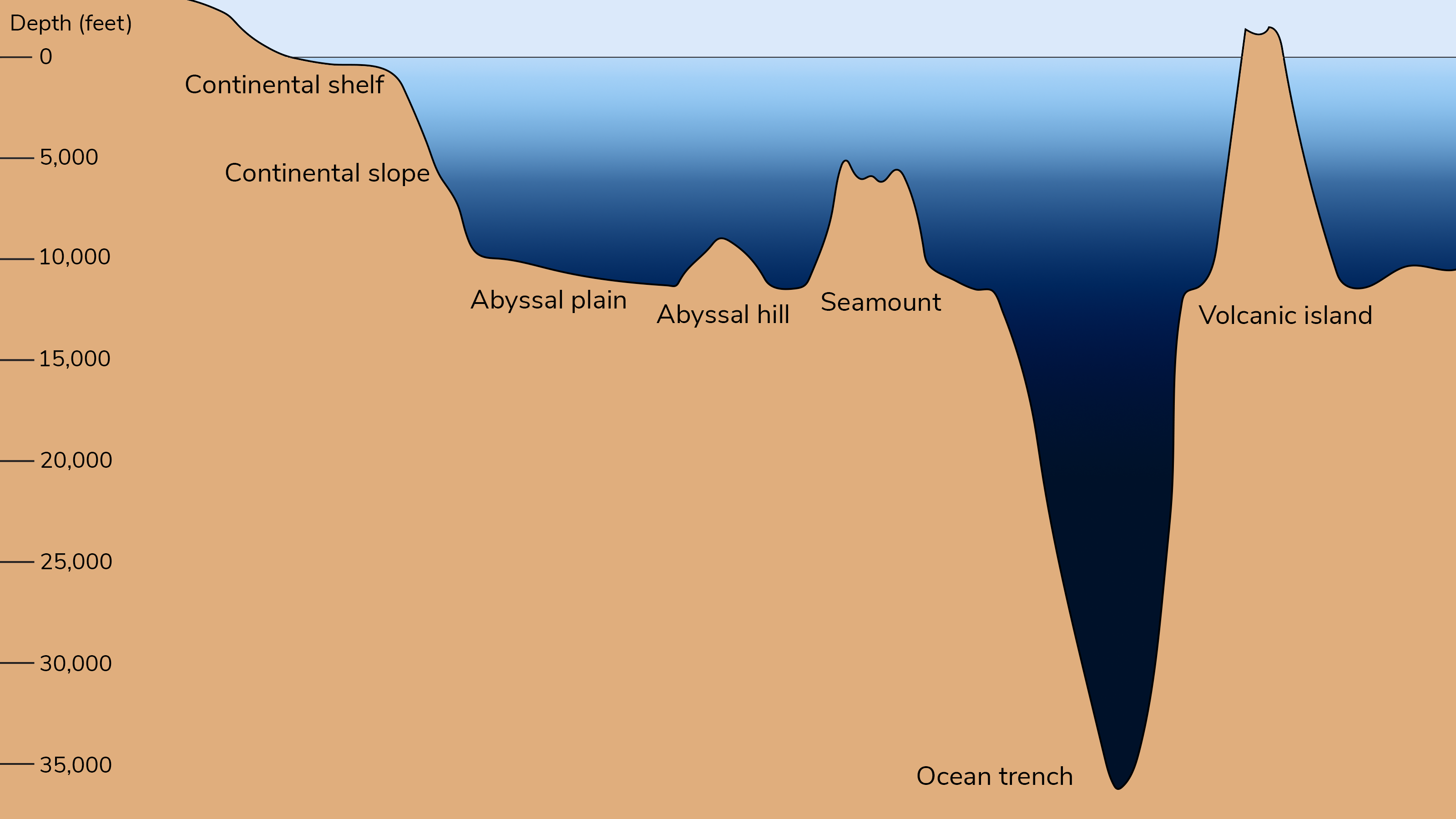 Ocean Landforms